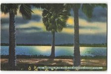 Postcard Moonlight on the Bay in the wonderful Sunshine State VTG ME8.