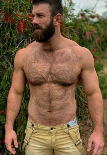 Shirtless Male Muscular Masculine Beefcake Hairy Chest Beard Guy PHOTO 4X6 B1119 eBay picture