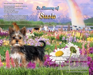 yorkie pet memorial
