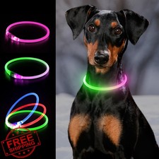 Light up Dog Collar, LED Dog Collar USB Rechargeable, YFbrite Waterproof Dog ...