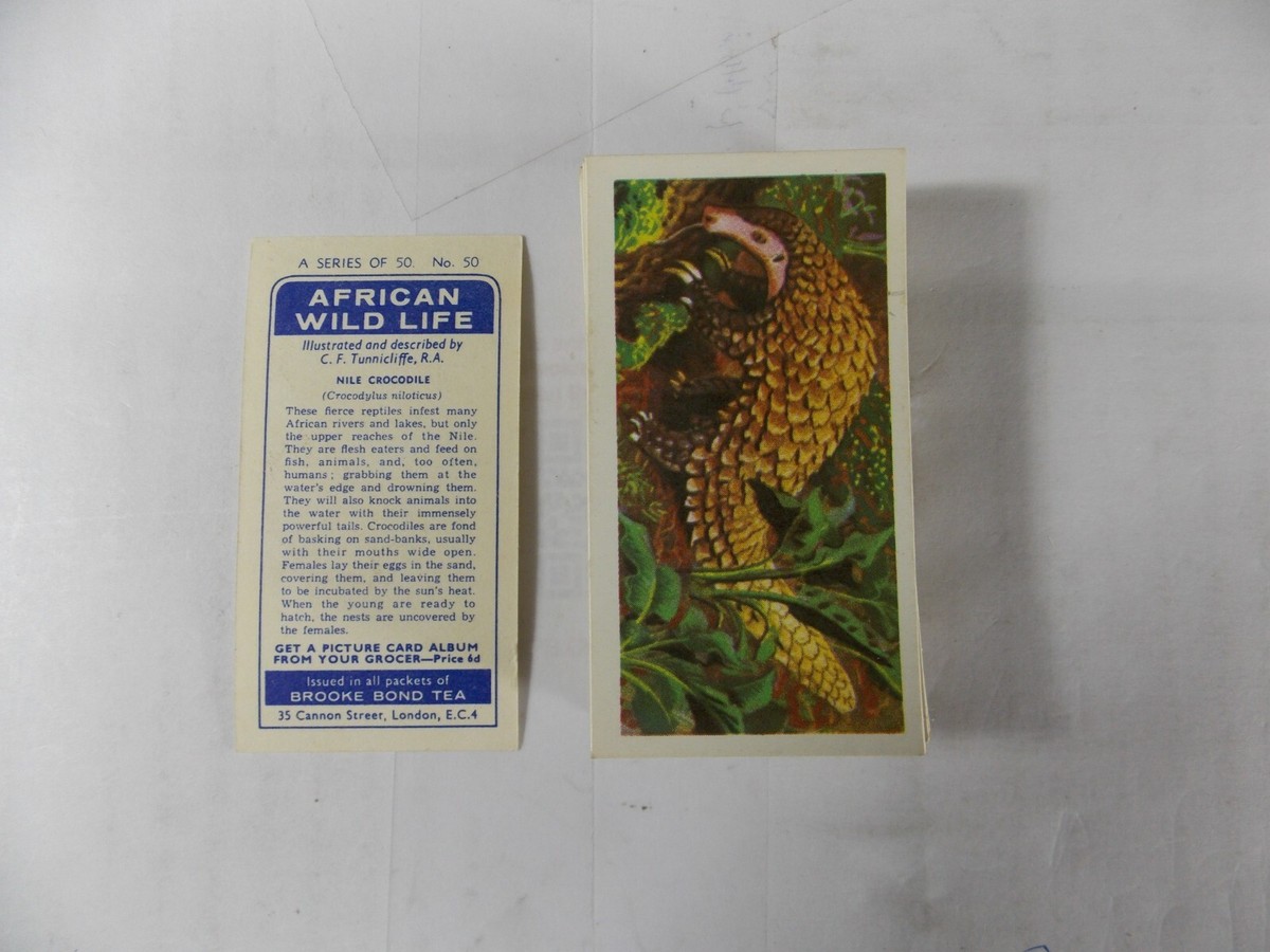 Brooke Bond Tea Cards African Wildlife 1962 Complete Set 50
