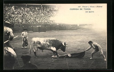 Corrida de Toros, Un Quite, Stierkampf, Ansichtskarte 
