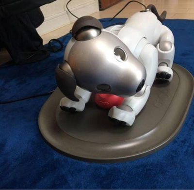 Sony AIBO ERS-1000 Entertainment Robot Dog accessories Japan Used