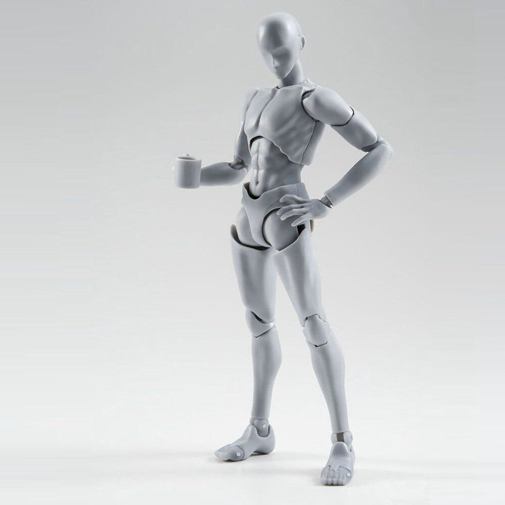 Body Kun DX Set Male Female Gray Color Body-Chan Action Figure Model Set  PVC Figure Model Drawing for SHF SH Figuarts