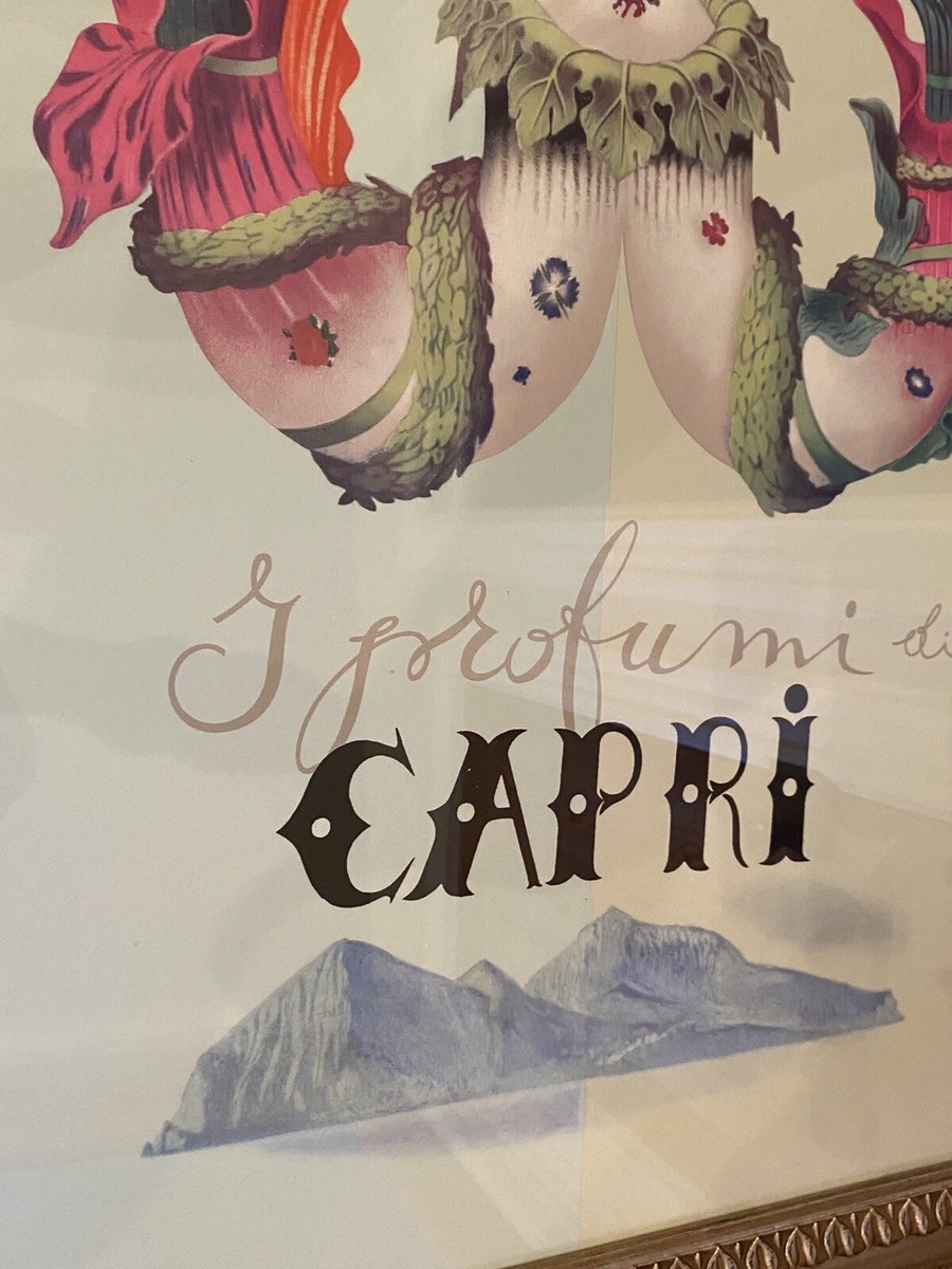 絵画 CARTUSIA CAPRI vintage poster 絵画 CARTUSIA CAPRI vintage poster Carthusia Capri – Poster