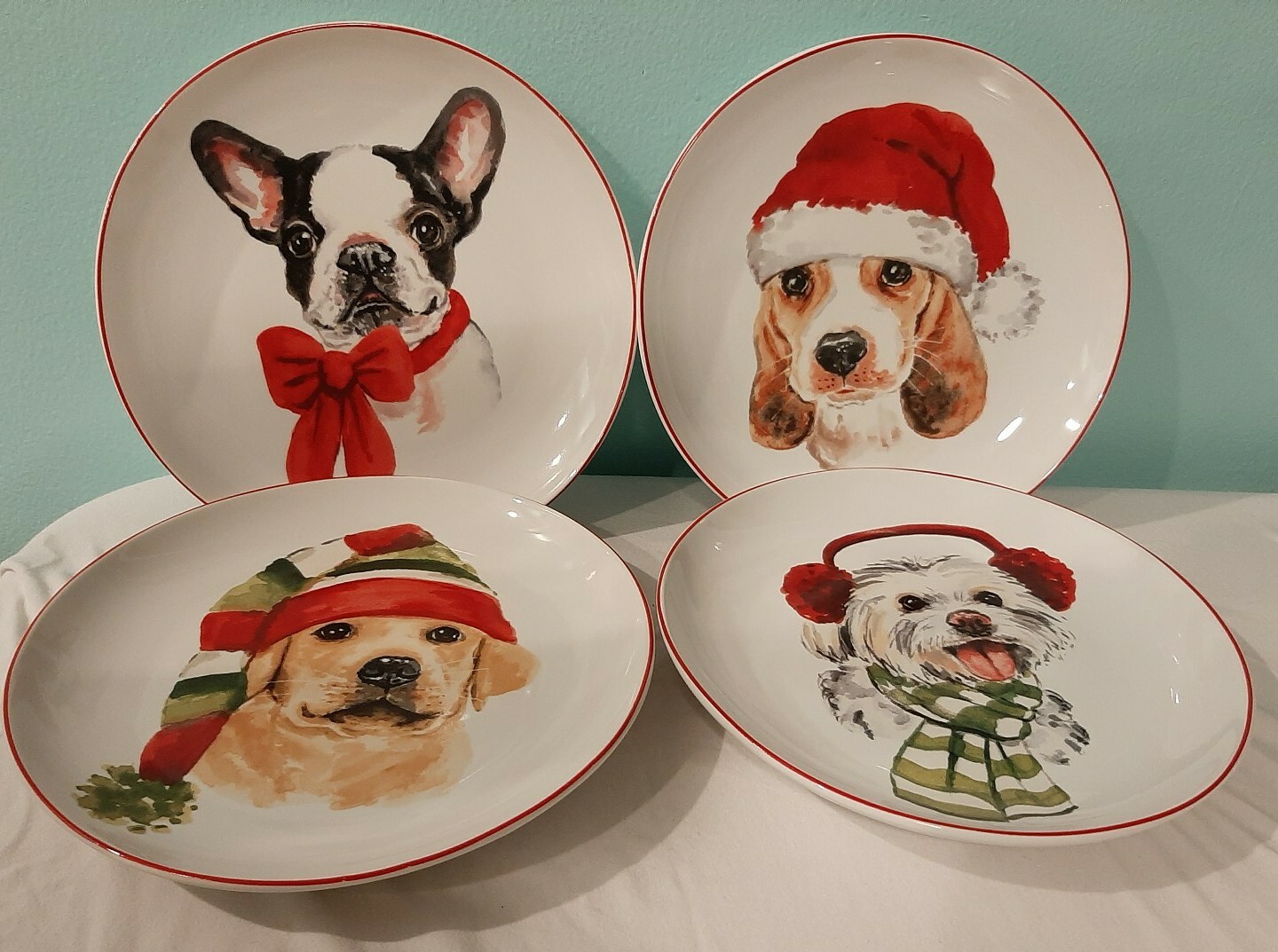 aluminum dog crate canada