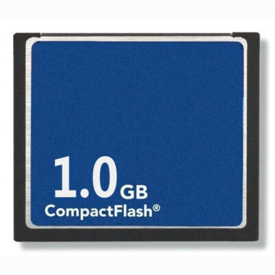 10 x 1GB CompactFlash   CF   Card Generic Brand New W/Cases #E10