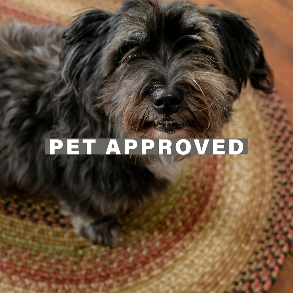 20X30” Brown Rectangular Braided Rug. Gingerbread Brown Jute Rug. Uses- Entryway - Image 2 of 4
