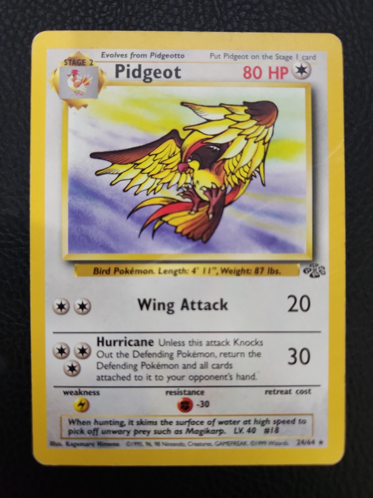 Pidgeot 24/64 Jungle Regular