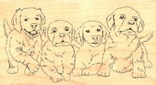 Puppy Dogs Dog Family Wood Mounted Rubber Stamp IMPRESSION OBSESSION F7845 New