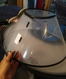 vet one clinic collar