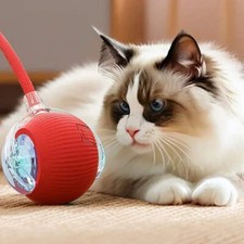 EcoPlay  Smart Motion Ball - USB-C Rechargeable Interactive Pet Toy