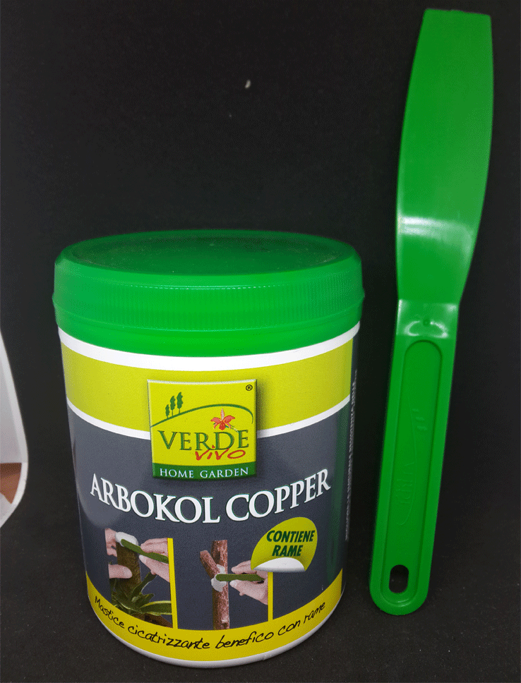 Arbokol Copper Mastice per innesti 250 gr Vebi