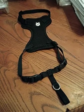 Cat Harness