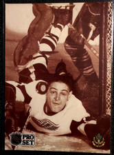 TERRY SAWCHUK 1991-92 PRO SET THE TRUE MR ZERO CARD #343