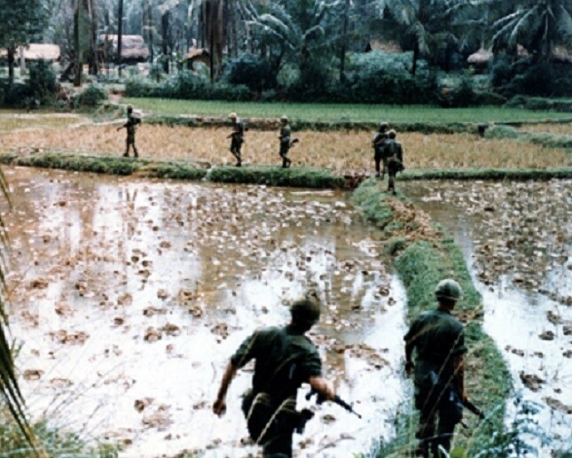 Trooper Rice U.S. Troopers on patrol in rice paddies 8x10 Vietnam War Photo 480 | eBay