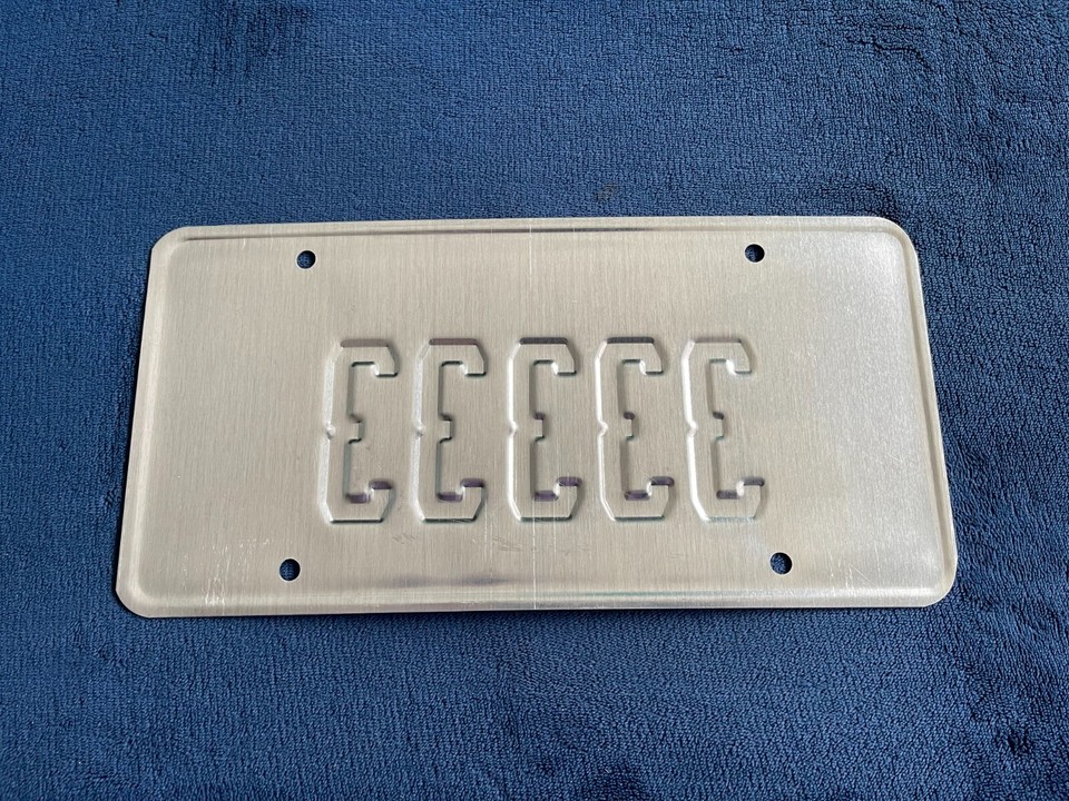 2022 Florida Sunshine State ALPCA Souvenir St Petersburg License Plate