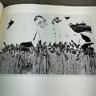 Foto 21 di 24