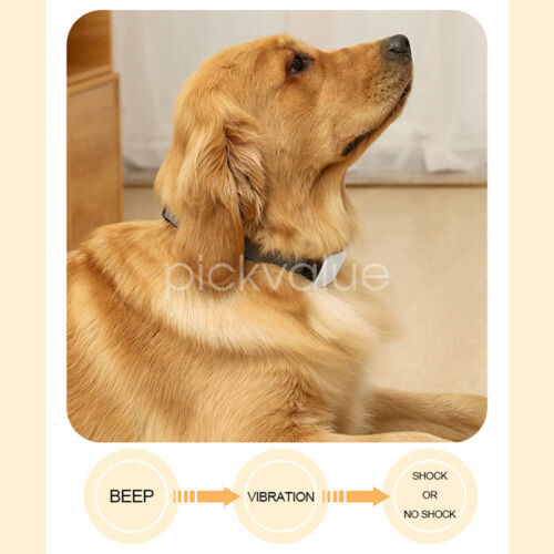 Anti Bark Dog Collar Auto Stop Barking Training Collar Obedience Rechargeable - Picture 5 of 13