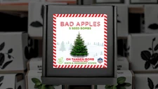 Christmas Tree Seeds Gift OH TANNEN-BOMB™ Fir Forest Stocking Stuffer - Gardener