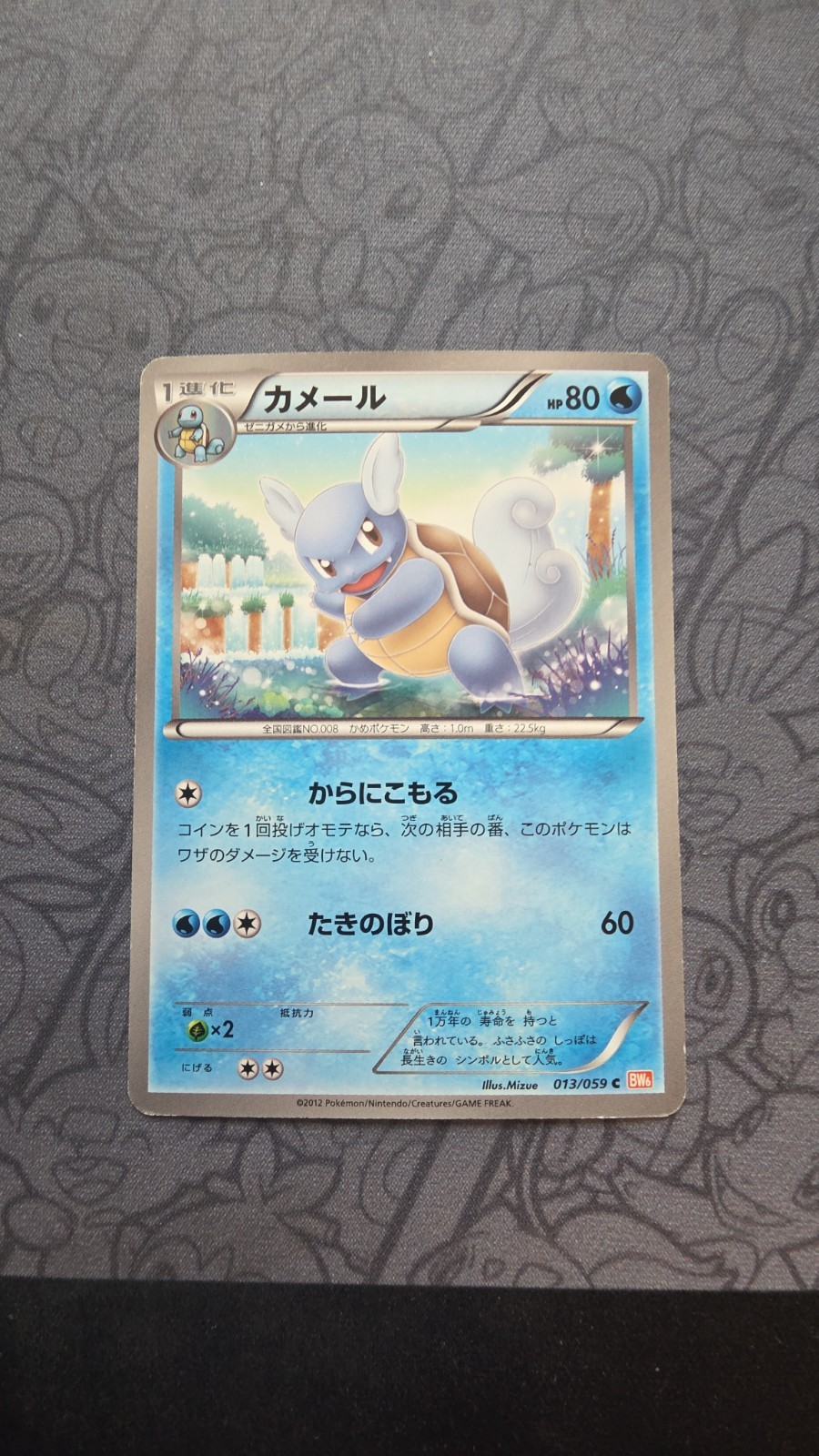 Pokemon: Wartortle 1st Edition #013/059 BW6 Cold Flare 2012 - LP - K55