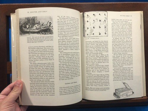 Over the Counter and on the Shelf- Laurence A. Johnson, 1961 - Picture 7 of 9