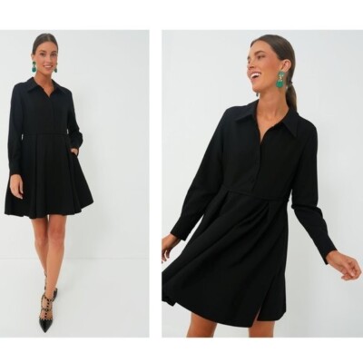 Pomander Place | NEW Black Annalise Long Sleeve Pleated Mini Dress Size S
