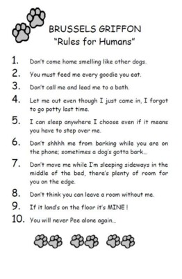Brussels Griffon ''Rules for Humans'' - CUSTOM MATTED - Dog Art Print : GIFT