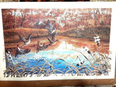 Jim Simpson Lithographic Unframed ''Ducks'', Signed, Numbered 27/200, Certificate