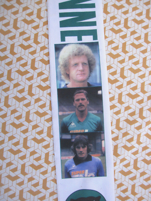 Écharpe Vintage Saint-Étienne ASSE époque Platini – Vert, Collector Pour Supporters