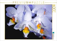 Calvendo Puzzle Orchidee 2000 Teile Puzzle Quer | 2000 Teile Lege-GrößE 90X67Cm