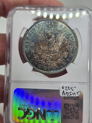 1921 $1 NGC MS 63 Morgan Silver Dollar ☆ Blueberry Toned Reverse ☆