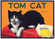 ORIGINAL CRATE LABEL TOM CAT TABBY VINTAGE ADVERTISING 1930S SUNKIST RARE TULARE