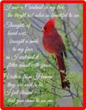 Insprirational Red Cardinal Blessed Bird Refrigerator Fridge Magnet Gift Item 