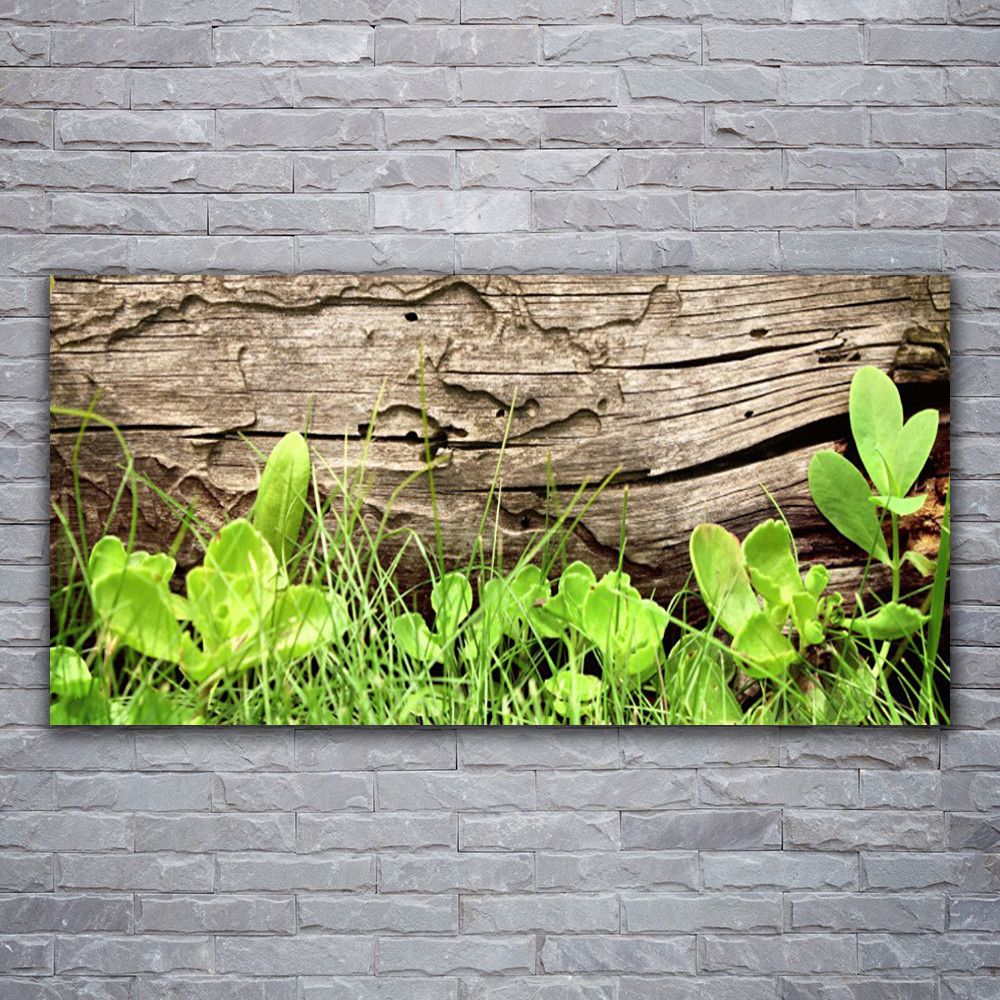 Impression sur verre acrylique herbe et feuilles 120x60 pour un salon style nature