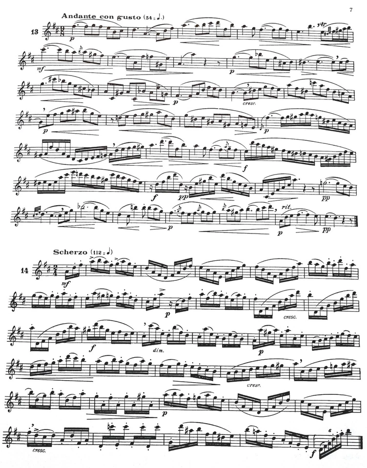 48 Famous Studies for Oboe or Saxophone, 1st Oboe Part plus 3 duos Concertants - Image 3 of 4