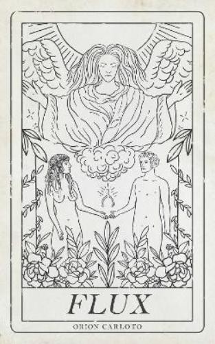 Orion Carloto Flux (Мягкая обложка) (ИМПОРТ ИЗ Великобритании)