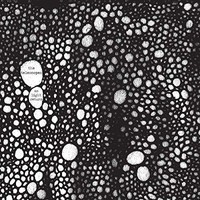 Telescopes - As Light Return - Cd - G4Z