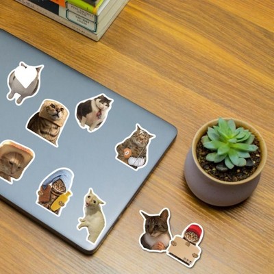Niedlich Meme Katzen aufkleber Lustig Tier aufkleber Kitty Aufkleber DIY