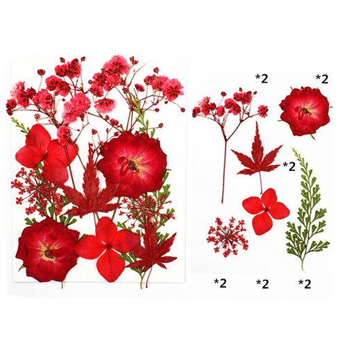 Real Dried Flower Natural Dry Plants Candle Epoxy Necklace Making Craft DIY - Picture 2 of 29