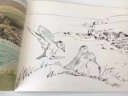 Vintage Birds & Countryside To Colour W.F Graham Northampton Ltd Printed Italy - Picture 14 of 23