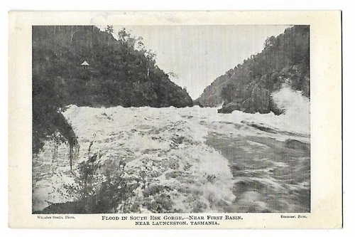 Launceston, Flood in South Esk Gorge , Tasmania, Australia, Postcard, 1900s