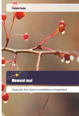 Moment mal | Buch | 9786202443593