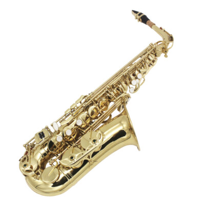 Alto Eb Saxophone Sax Paint Gold Brass With Case + Care Kit Accessories
