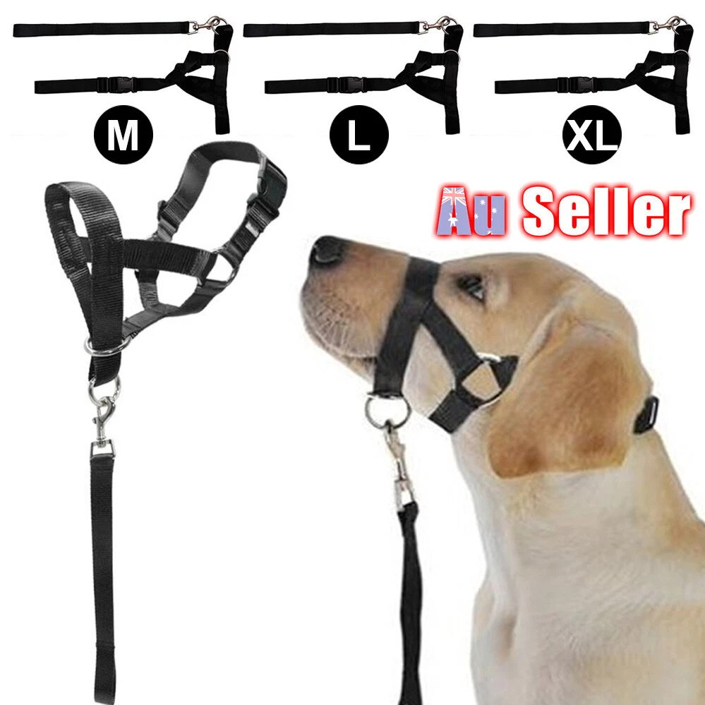 Dogalter Stops Halti Pulling Halter Head Collar Dog Training Tool