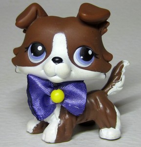 littlest pet shop collie