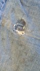 Bild 12 von 20