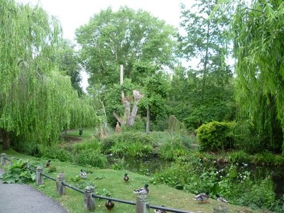 Foto A3 Ein Abzweig des Flusskrebs Füße Cray Der Flusskreb hier bei St c2011