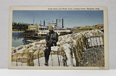 Levee Scene & Water Front Loading Cotton Memphis Tennessee Vtg Postcard Unposted