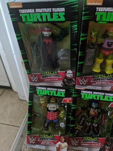 tmnt wwe series 1
